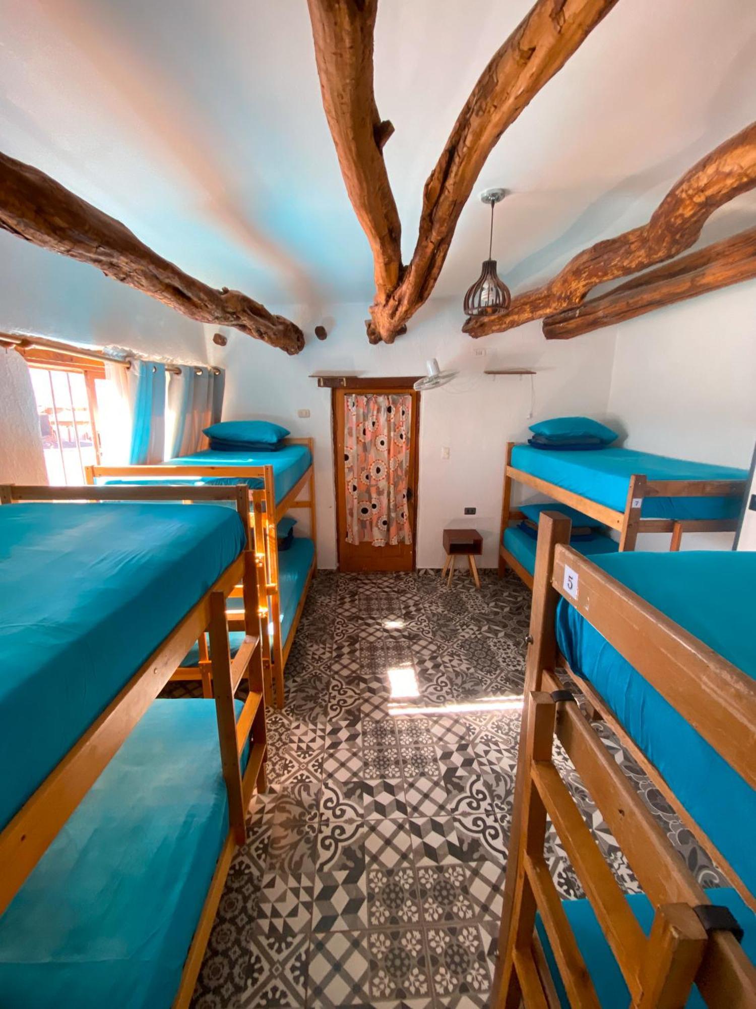 Rey Lagarto Hostel San Pedro de Atacama Luaran gambar