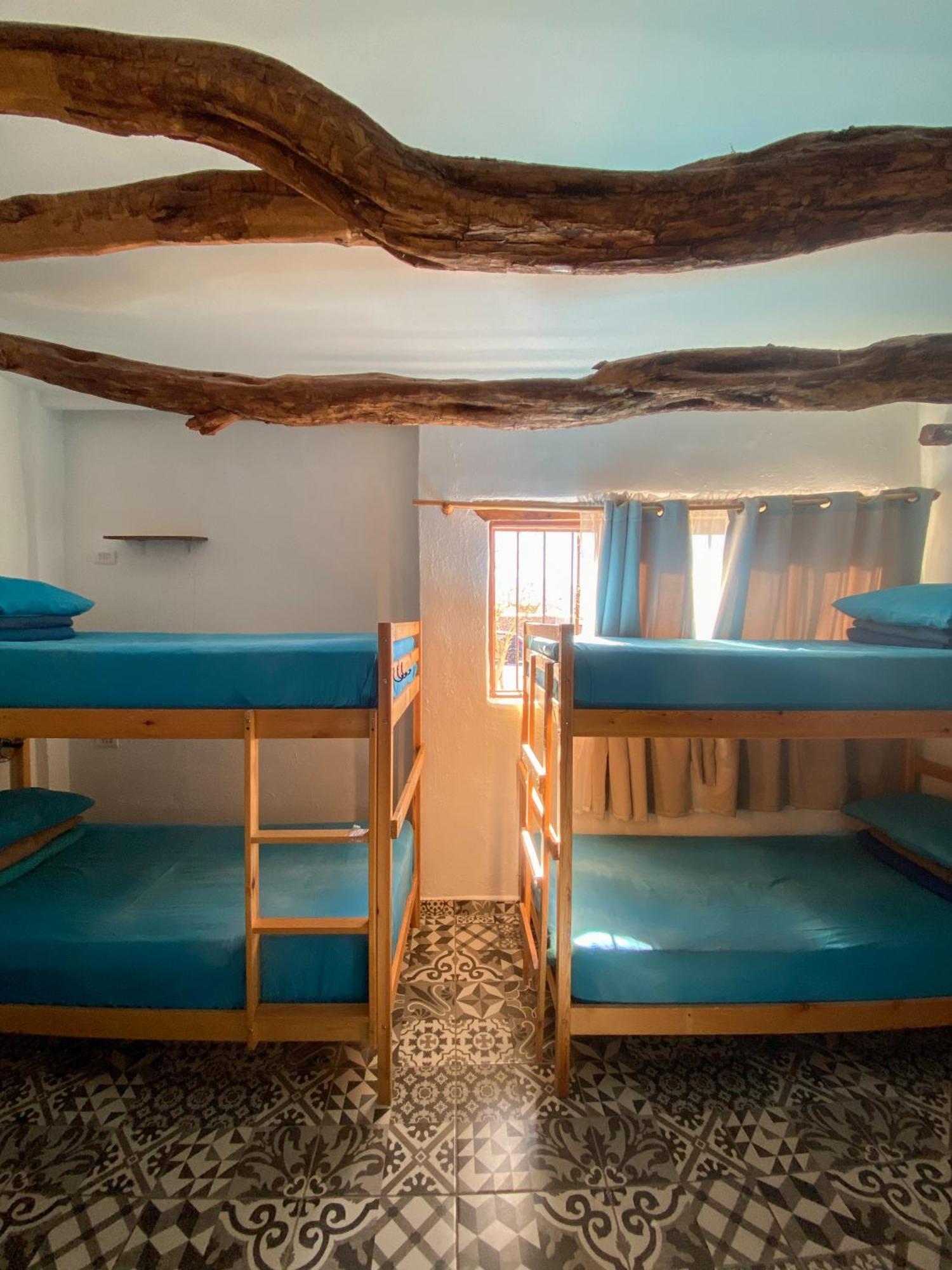 Rey Lagarto Hostel San Pedro de Atacama Luaran gambar
